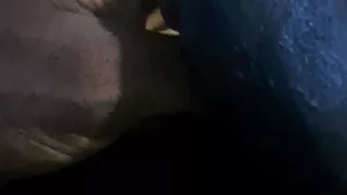 Black penis not erect. Sex with pleasure. Romance and enjoy