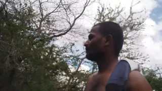 XHard India Searching on forest