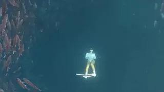 Playing at the Sea