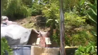 Hot skinny chick gets her mouth filled with cock and cum in the sun