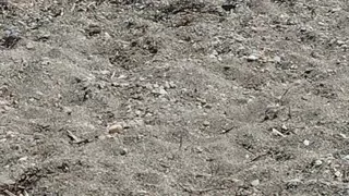 Another Little Bit of Beach