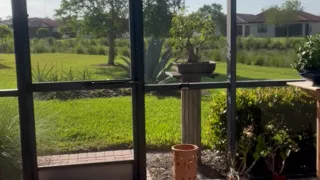 Exposing Myself To The Neighbors