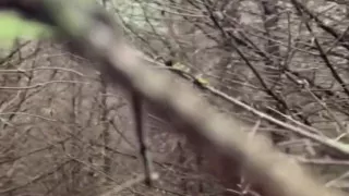 Cute Pixie Takes Huge Cumload