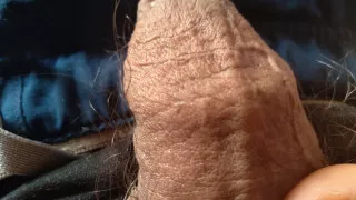 big delicious penis to suck