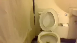 Squatting and Peeing on My Toilet Seat