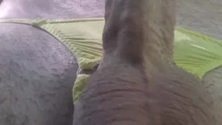 Cock jerking with nature