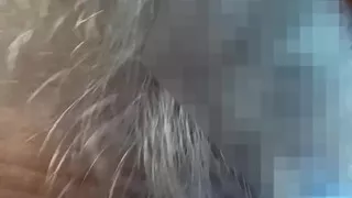 Watch Me Give This Dude A Blowjob! Hot MILF Giving A Blowjob!