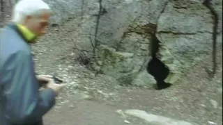 Anal Gap-stretching Fuck with the Cave Witch