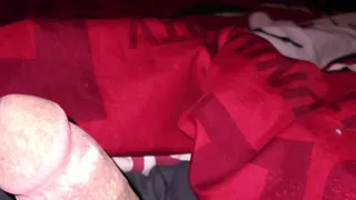 Stangfan50