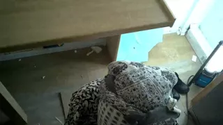 Muslim woman tries sucking a cock and does a good job