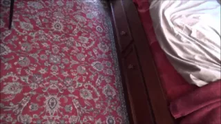 Stepdad Nurtures Sweet Stepdaughter - Hailey Little - Family Therapy - Alex Adams