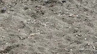 On the Beach Naked Enjoying