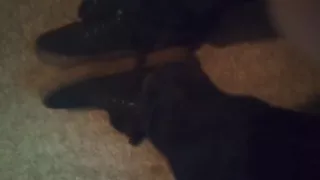 Black Dress Shoes & Cute Fuzzy Striped Dirty Socks (no Audio)