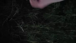 Nice Wank in the Park