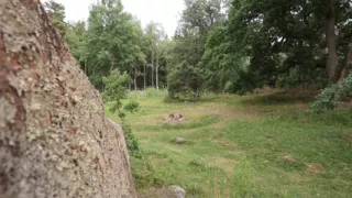 Sneaked Behind a Rock Just to Finish Myself off Fast