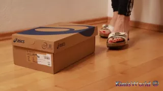 Asmr Wooden Clogs Trample and Crush Shoe Box