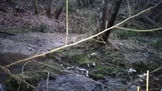 A Good Handjob in the River, Would You Suck It if You Saw Me? Leave It to Me in the Comments!