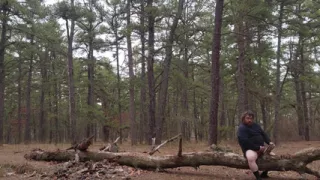 More of out in the woods