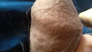 gay man bares his big cock to show it off