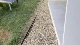 Solo Exhibitionist Masturbation Watching