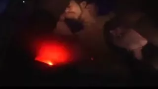 Plexus