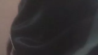 Wiggling my penis in circles for your delight