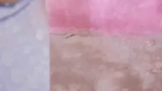 Juicykoos Pakistani Brown Pathan Aunty Fuck by Her Stepson When She Was Horny and Alone at Home.