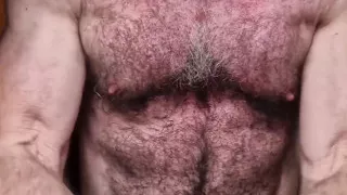 Hairy Muscle Bear Cools Down