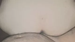 of a puppy