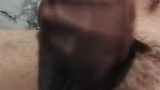 A Rare Sensation on the Cock