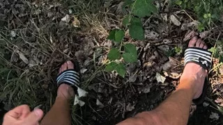 Masturbation in the forest