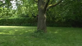 Lullu Gun