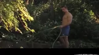 Apex.