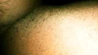 My very big Dick 346