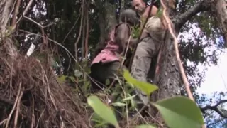 Lords of the Jungle