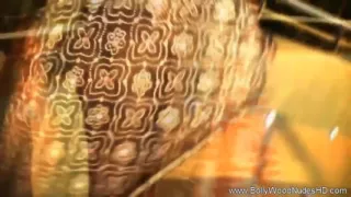 Beautiful Indian Princess Dances The Erotic