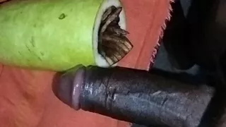 The wife did not let her fuck the pumpkin, she fucked the pumpkin