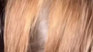 She Sat on My Dick at a Party