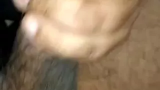 Biggbeast