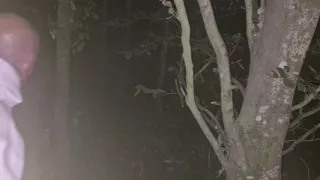 In the woods