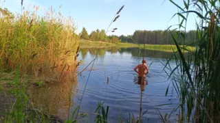 Evening by the lake. Unfortunately, I'm alone here ...