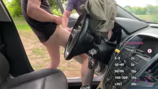 A Sunny Car Encounter