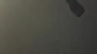 Mayankperv