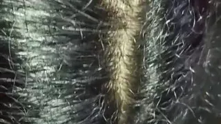 My Sexy Stepsister Hot Sexy Girl Close-up Doggy Style Desi Bhabhi