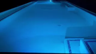Anyone Else Play Fetch Naked in the Pool?