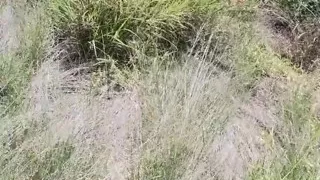 En El Monte Vestida De Mini