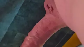 Dicksucker