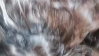 Desi Woman Sure Knows Were to Get the Dick