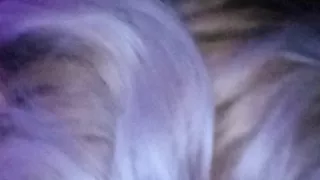 Doggy fsce
