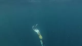 Playing at the Sea